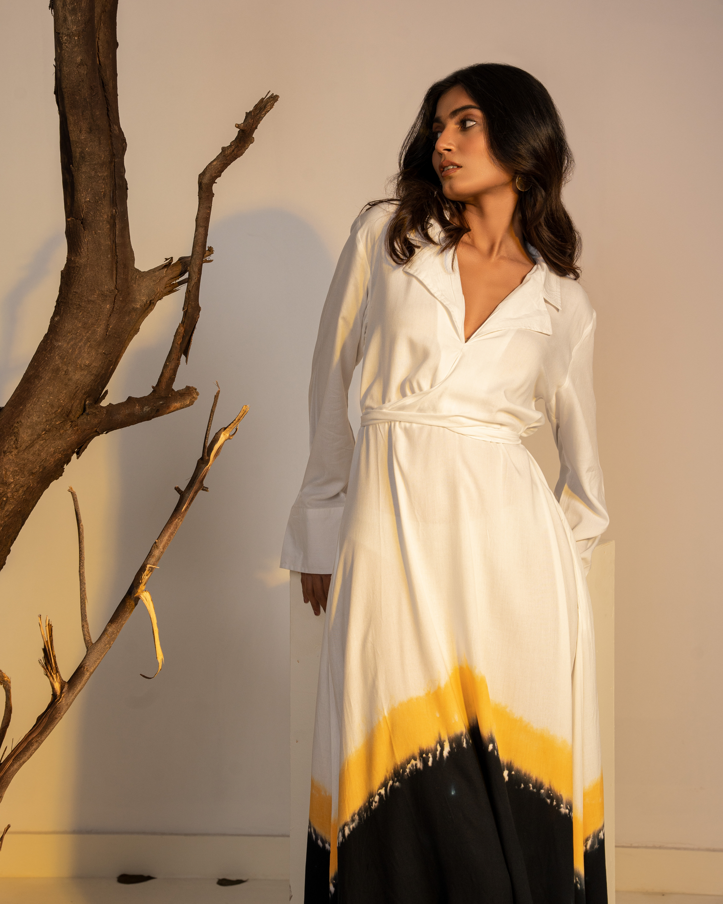 Diana A-line Collared Dress