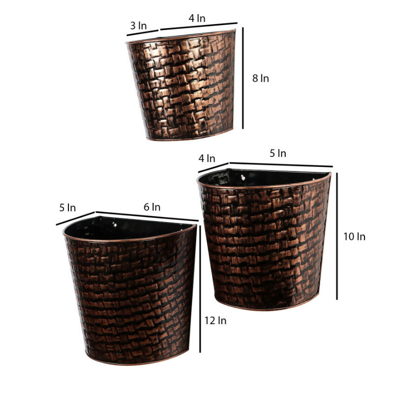 Planter_ADS_16_5