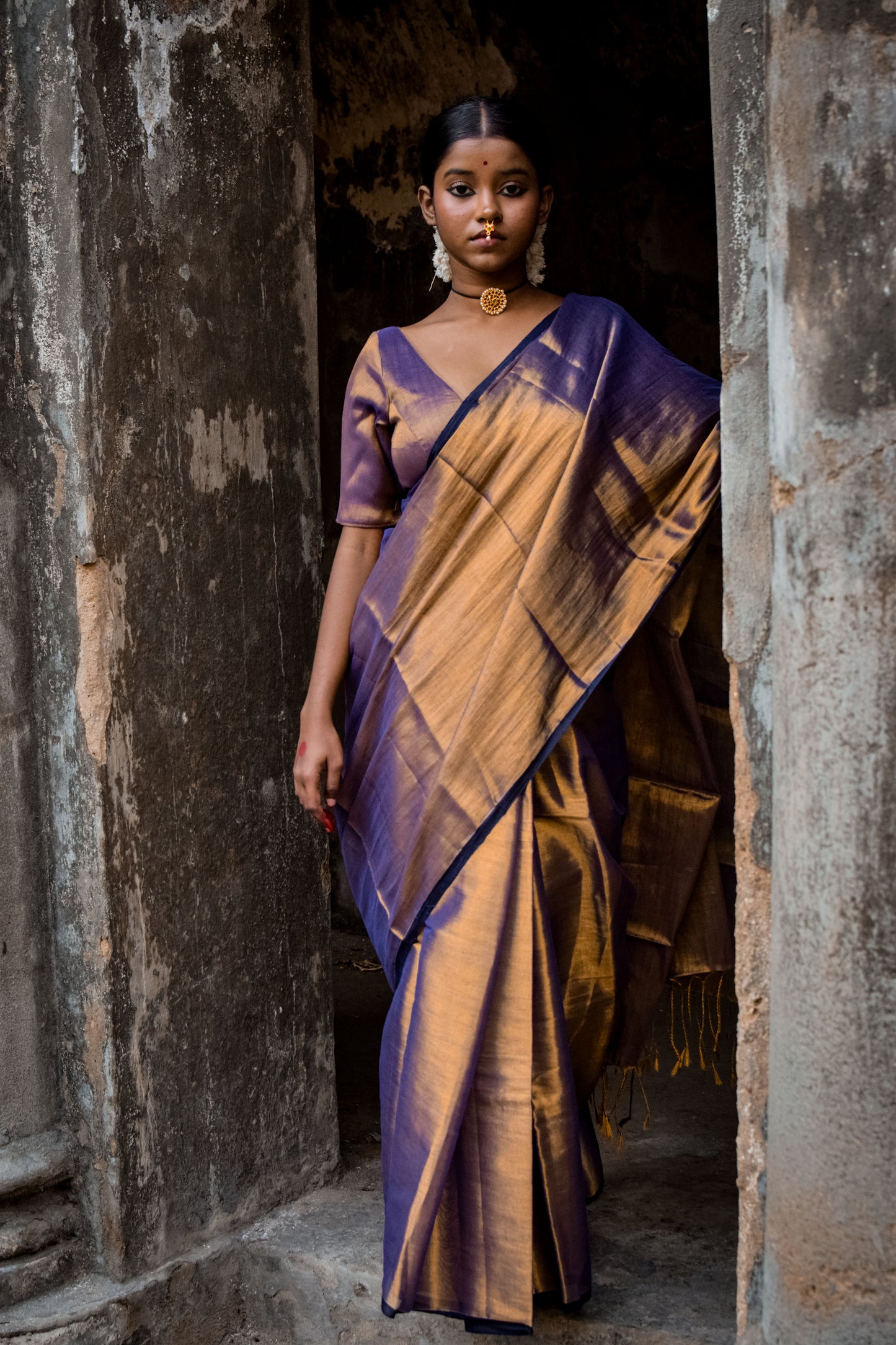 Alpadma Dual Tone Tissue Saree