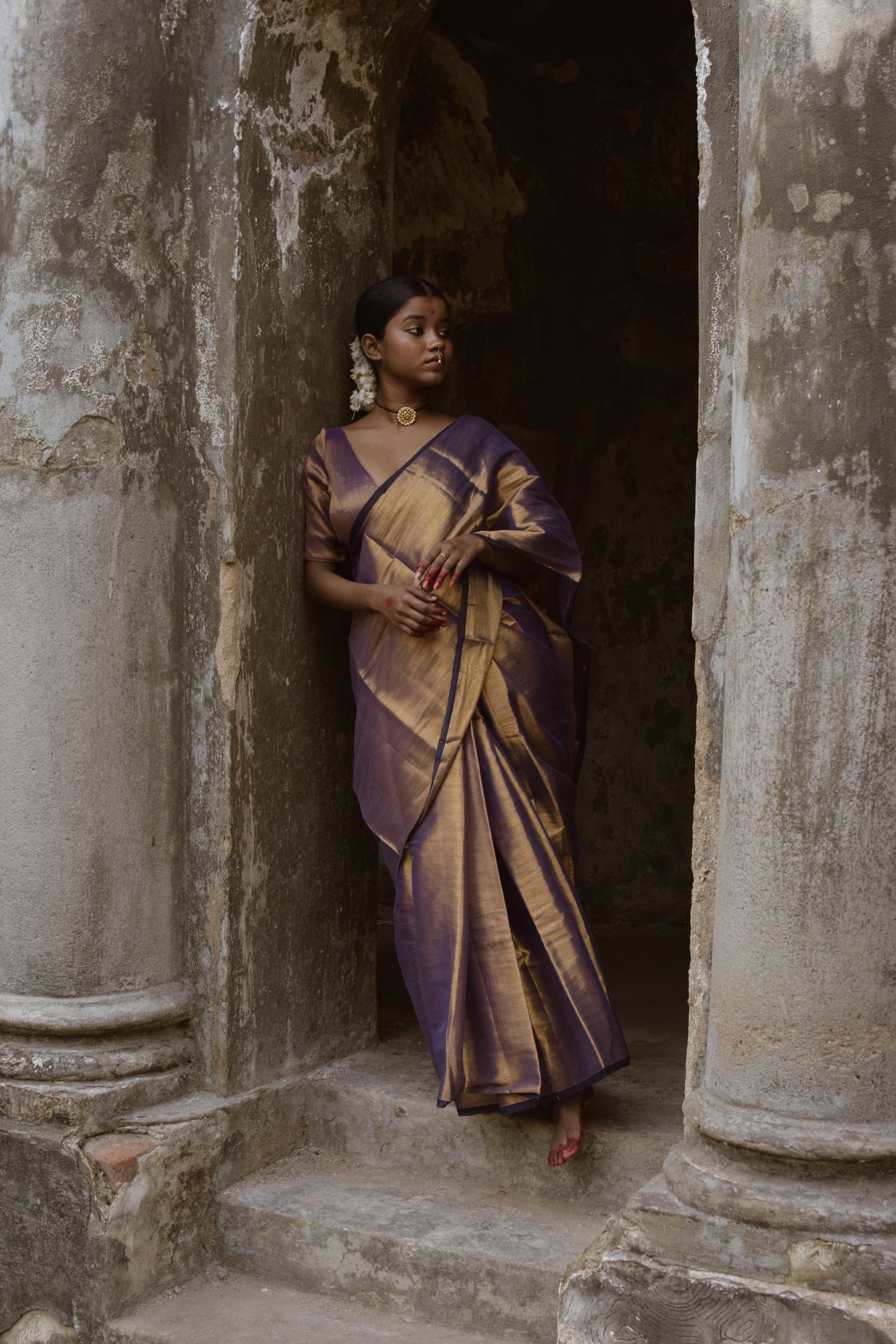 Alpadma Dual Tone Tissue Saree