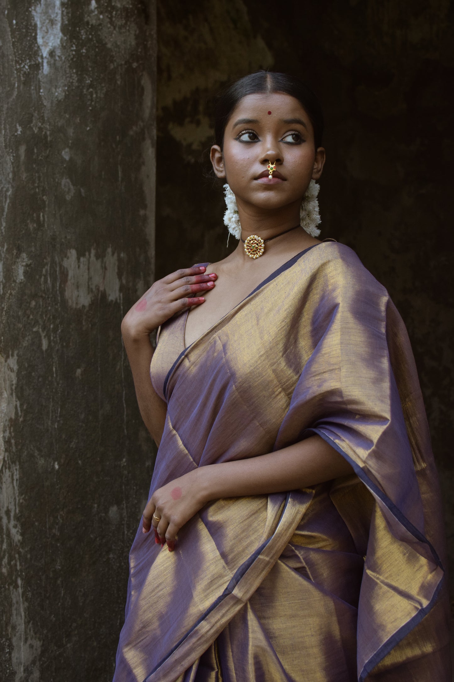 Alpadma Dual Tone Tissue Saree