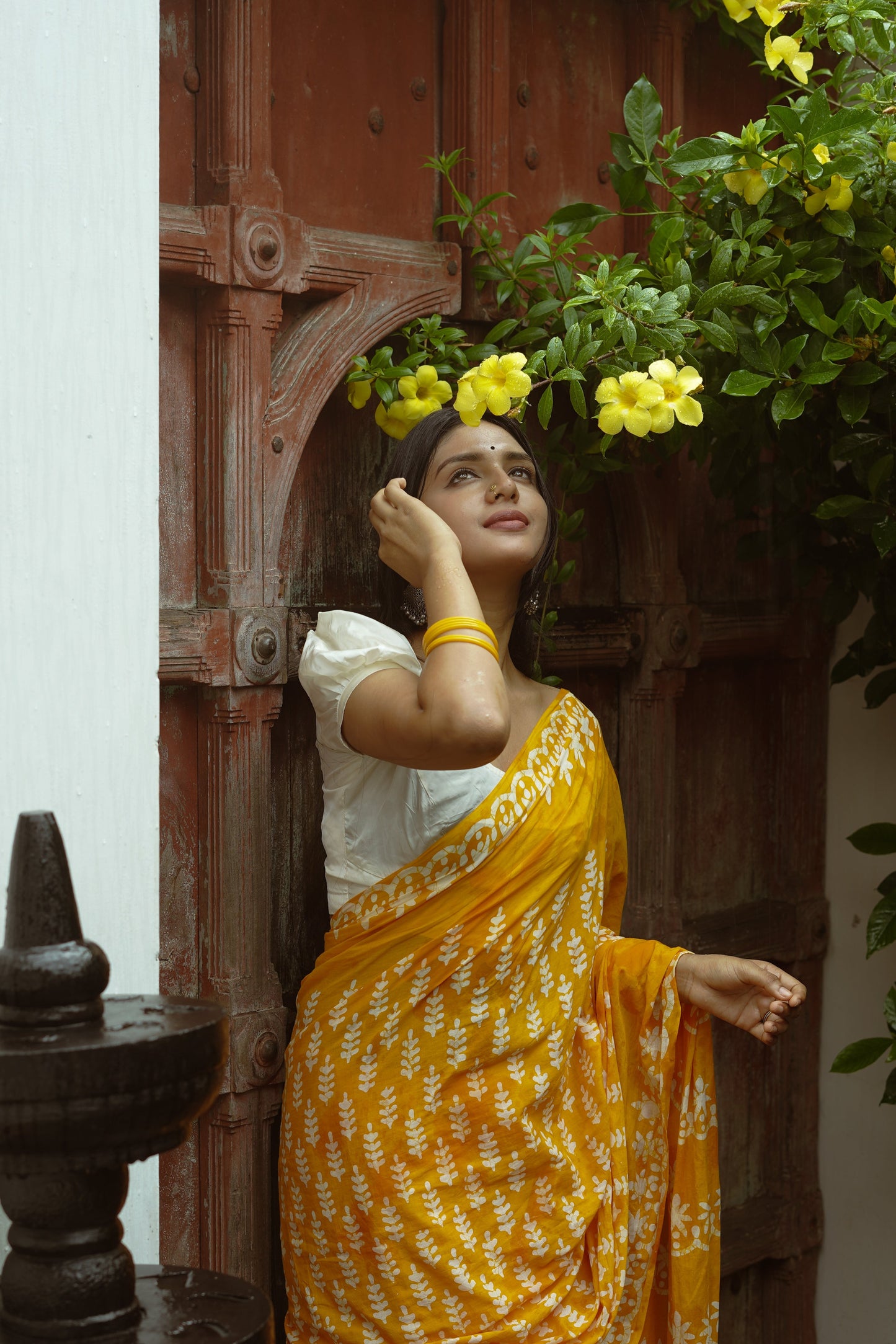 Ammiya Handblock Natural Dye - Mul Cotton Saree