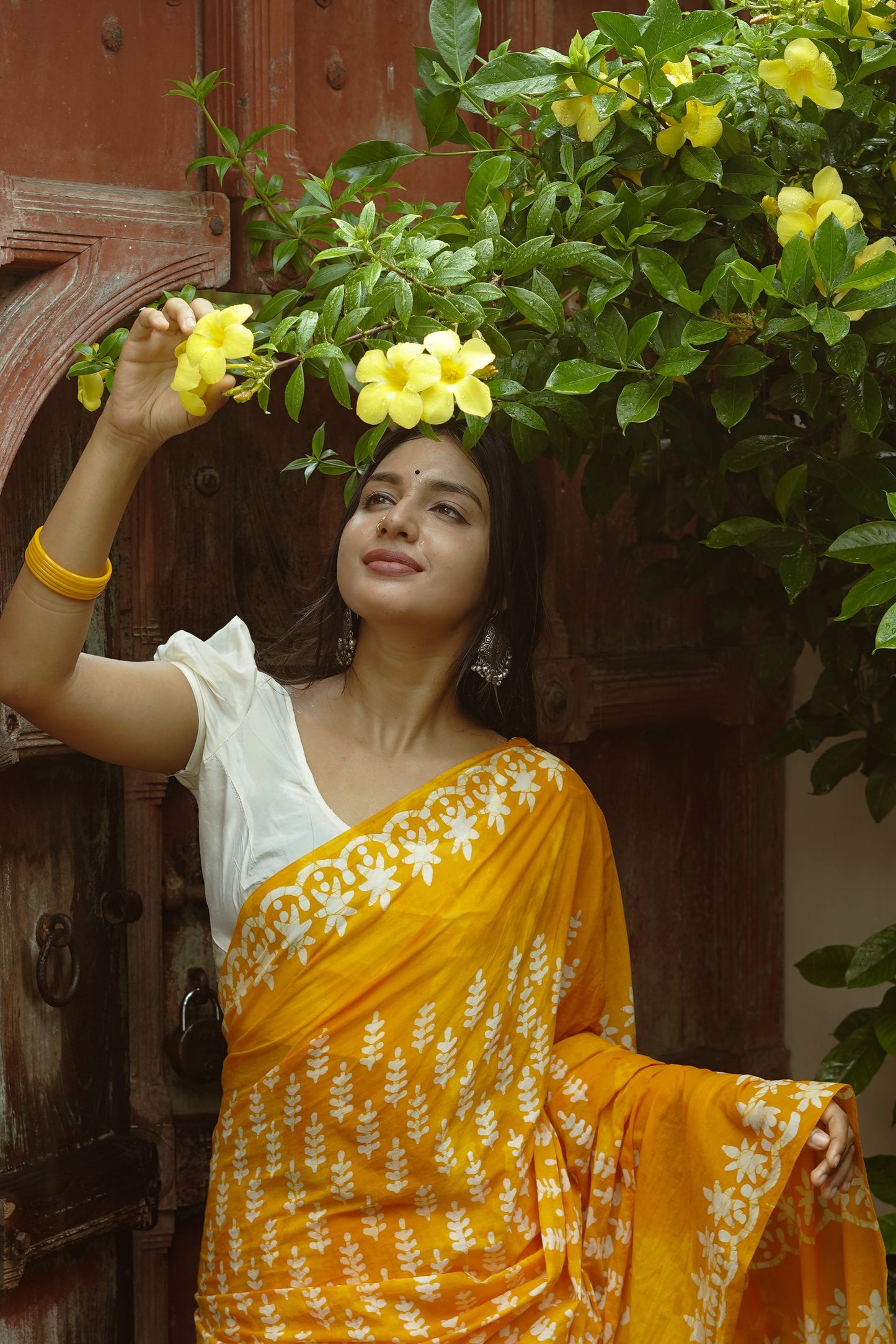 Ammiya Handblock Natural Dye - Mul Cotton Saree