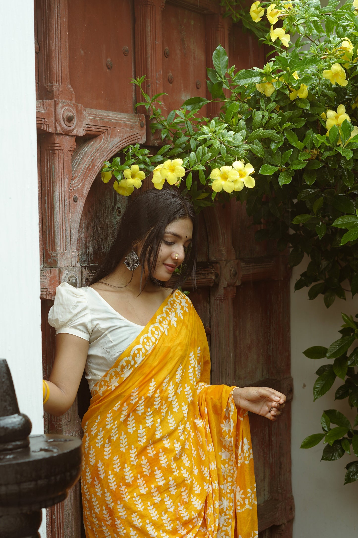 Ammiya Handblock Natural Dye - Mul Cotton Saree