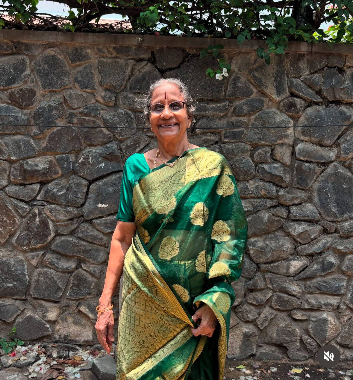 Green Banarasi Organza Saree