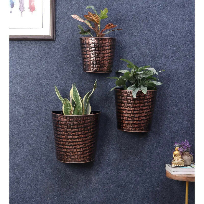 Planter_ADS_16_1