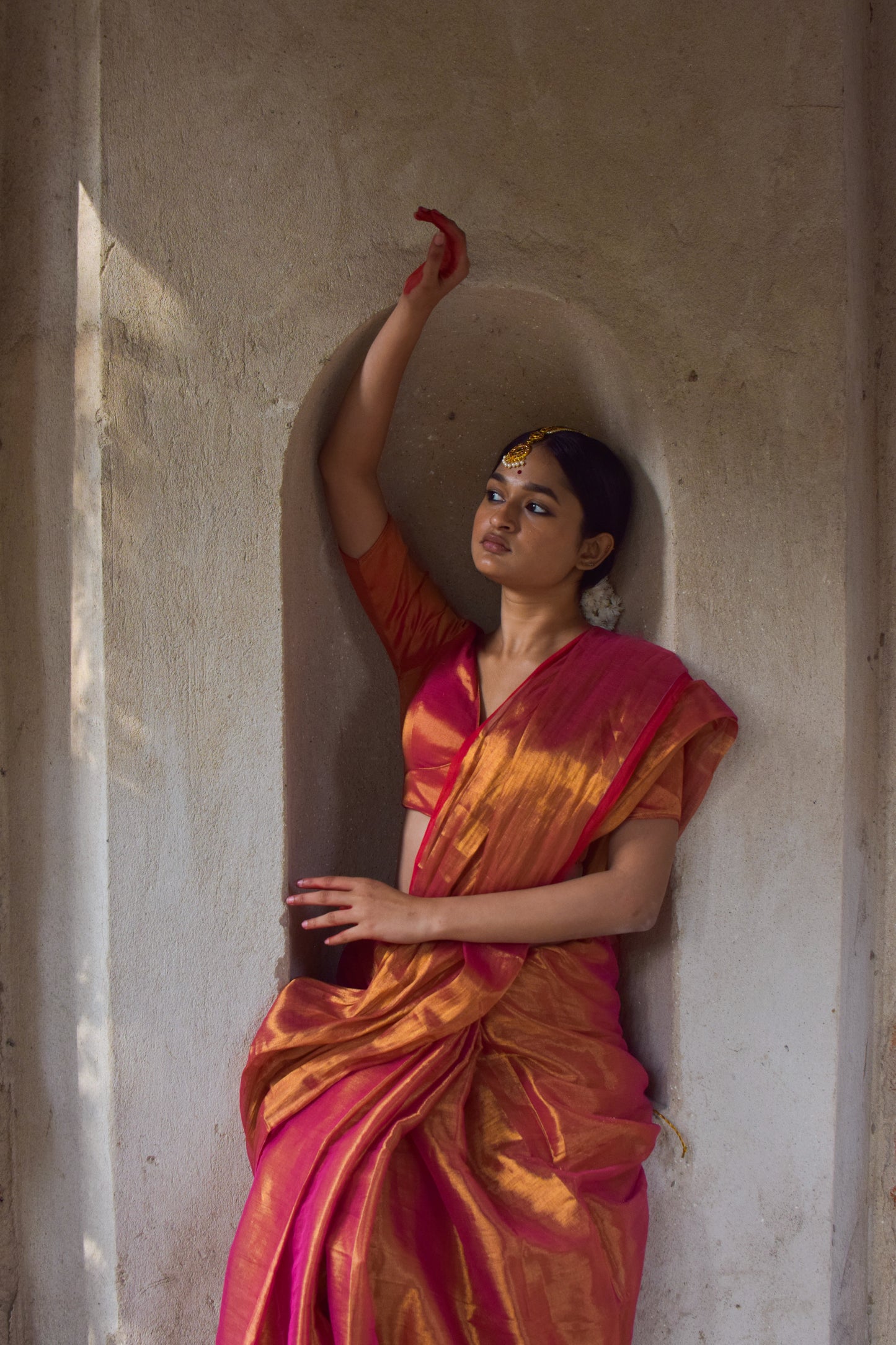 Elegant Handloom Tissue Saree