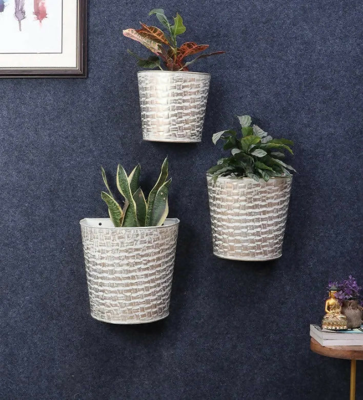 Planter_ADS_39_1