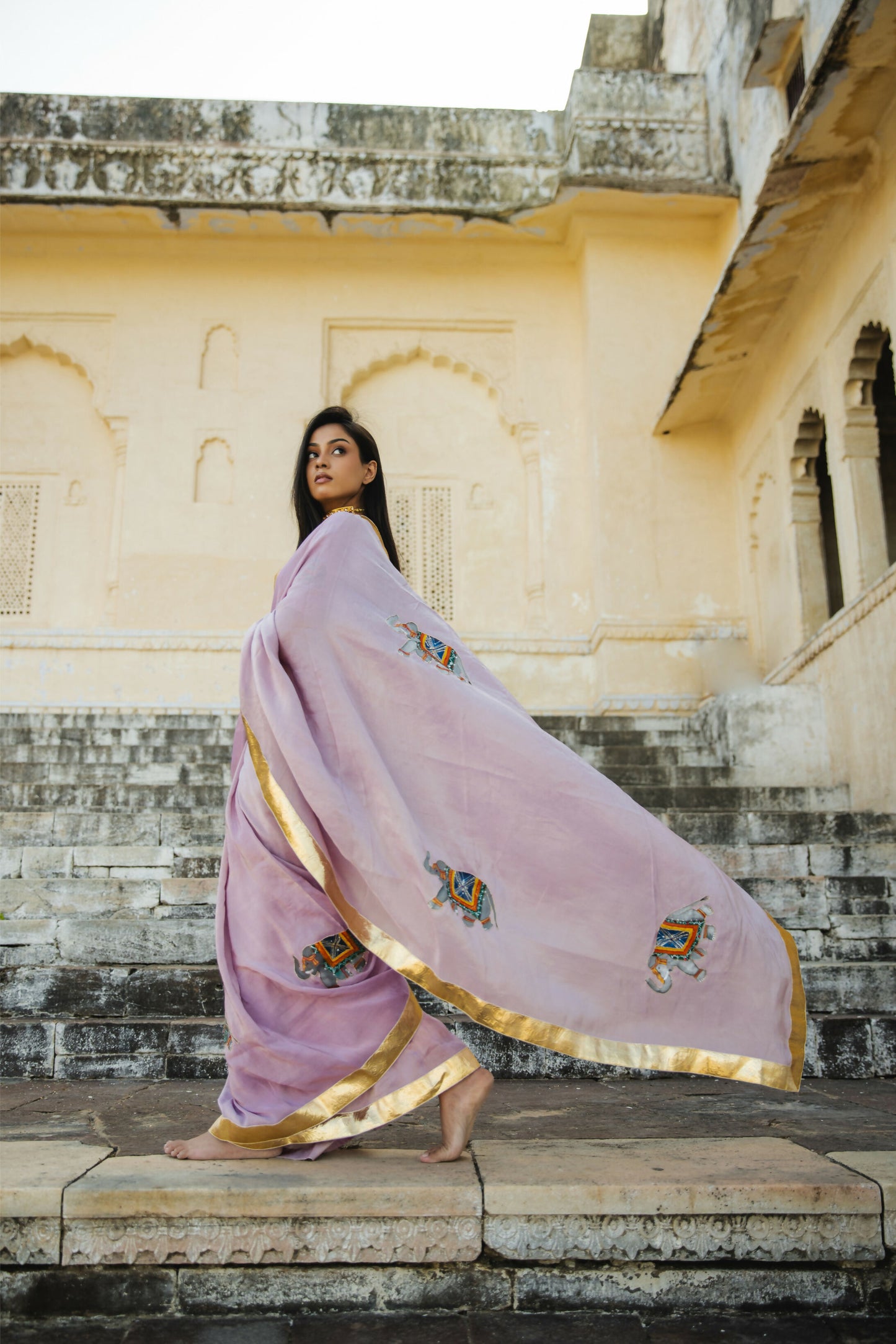 Meera - Royal Elephant Hand painted Saree
