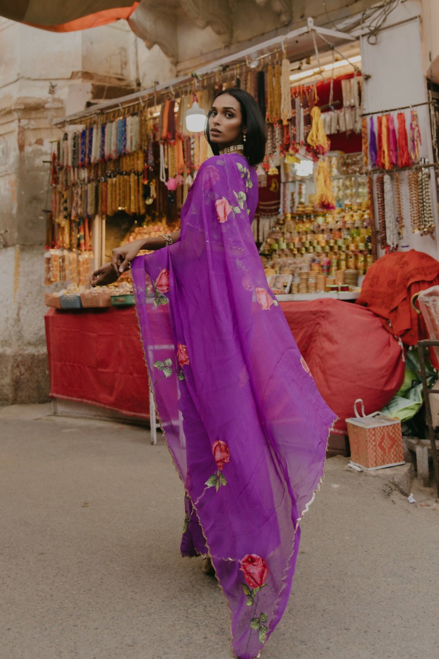 Savina Chiffon Hanpainted Saree