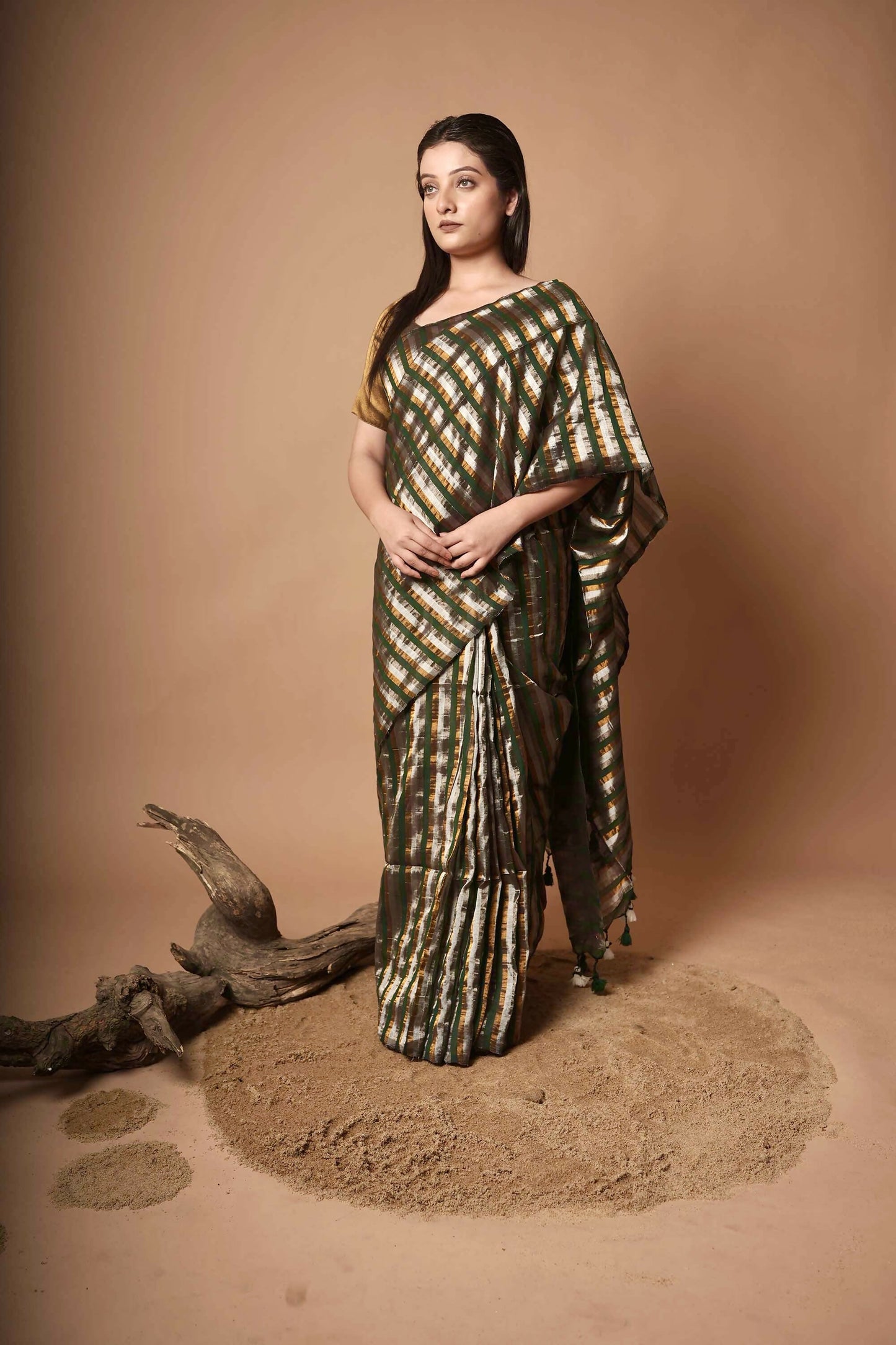 Rekha I Multicolour Handloom Cotton Saree