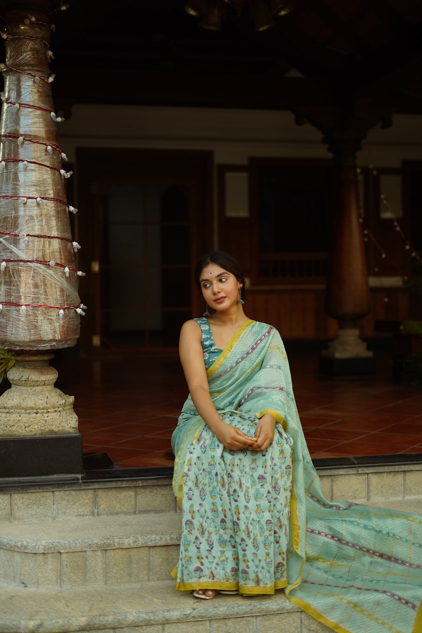Rimjhim Rimjhim Chanderi Saree