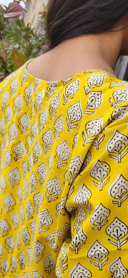 Aayesha Bagru Long Kurta