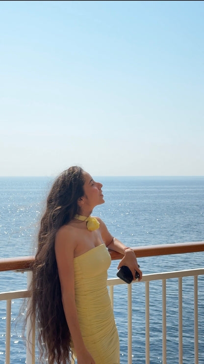 En Rose Yellow Lycra Dress