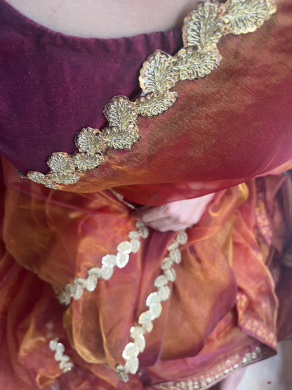 Starstruck Radiance Handwoven Saree