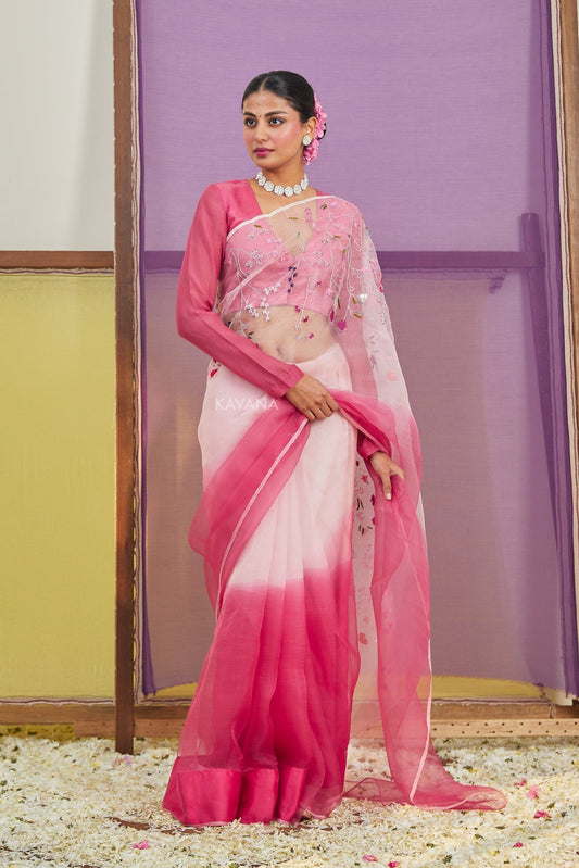 Bagh Silk Organza Saree