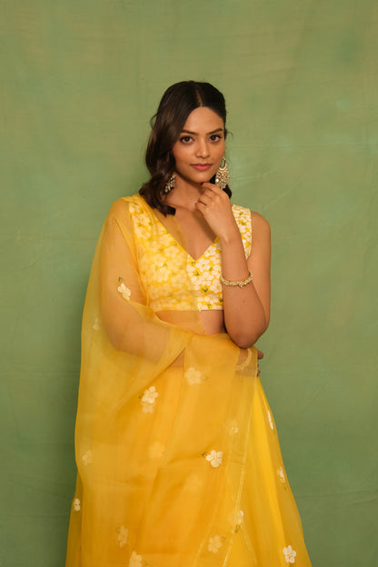 Yellow Mogra Handpainted Lehenga