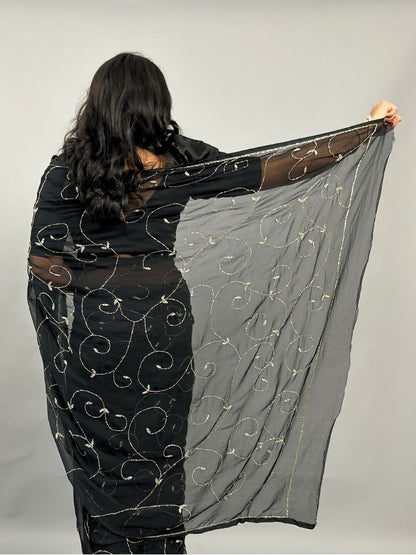 Banno Tera Swagger -Jaal Embroidery Pre-Pleated Shimmer Chiffon Saree