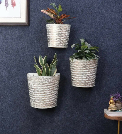 Planter_ADS_39_1