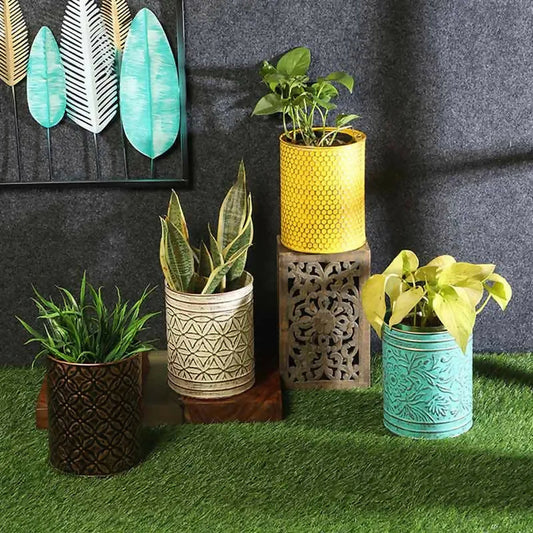 Planter_ADS_47_1
