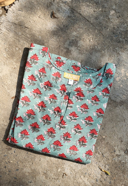 Aashi Sanganeri Long Kurta