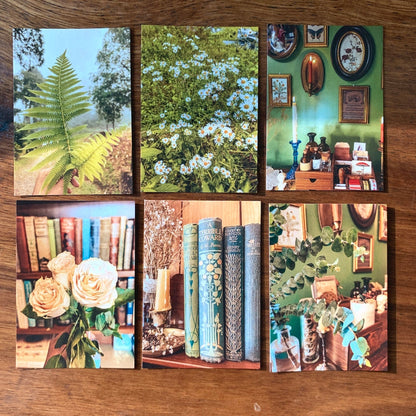 Cozy Aesthetics (Stickers in a Tin Box) by Candle La Fleur